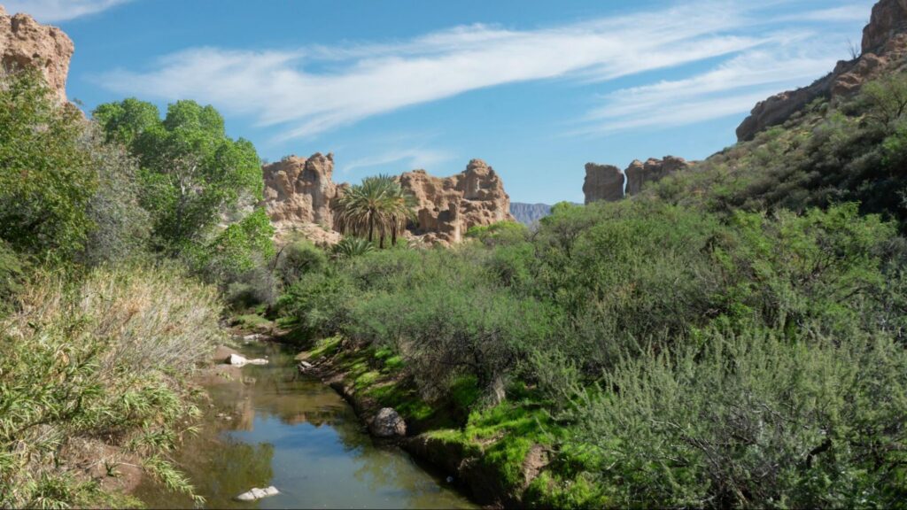landscape image of queen creek foliage