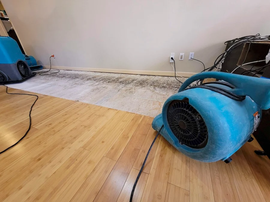mesa water damage