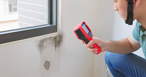 close up male home inspector is using thermal imager to check water leakage situation at window