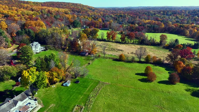 wilton