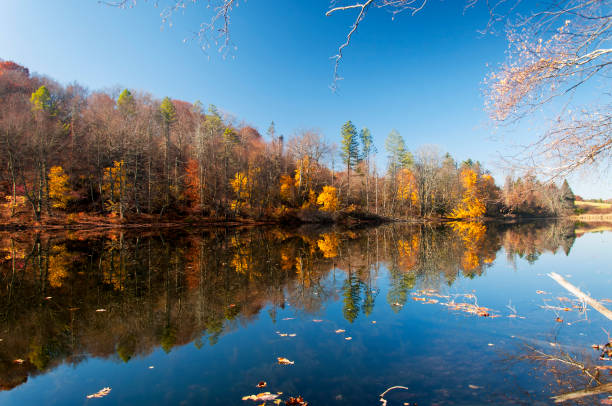 danbury