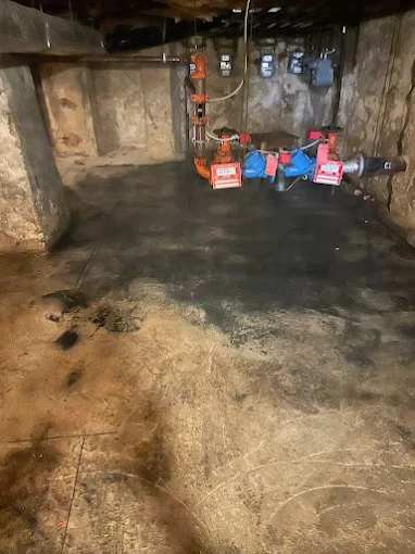 Water damaged basement