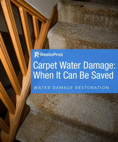 header image title card of water damaged carpeted stairs