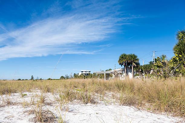 This is a photograph of a grass covered sand dune on Siesta Key beach in Sarasota, Florida on a sunny winter day.