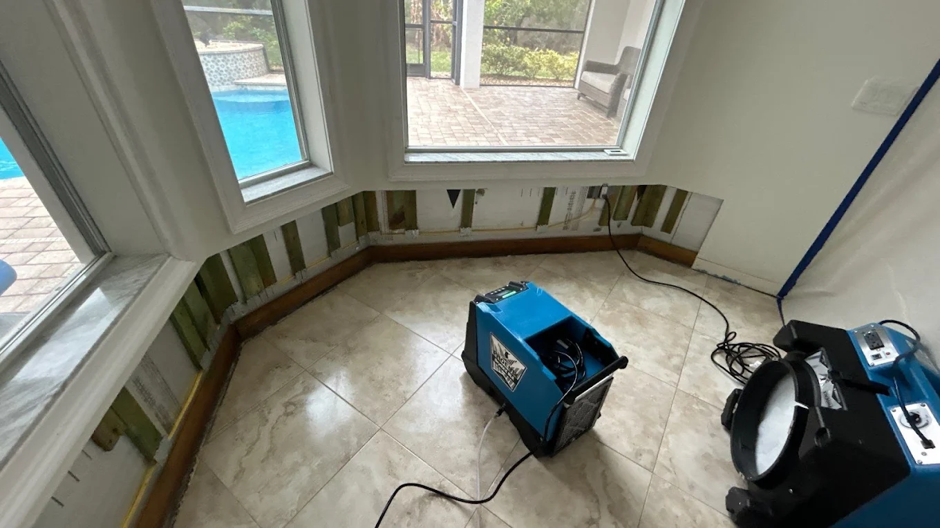 lutz water damage