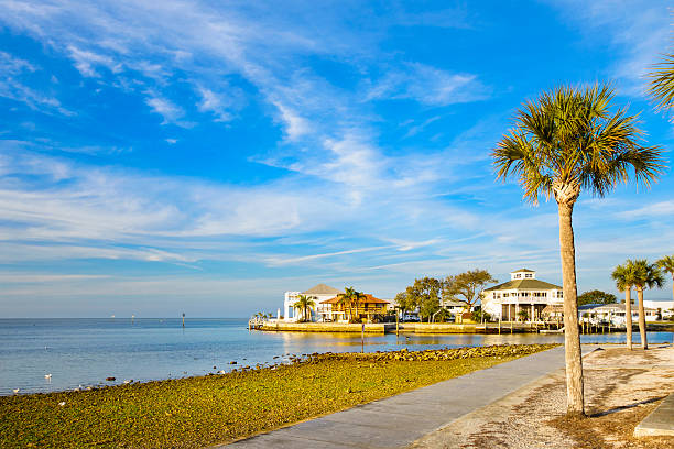 new port richey