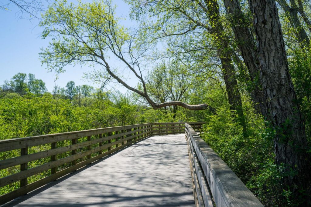 park in roswell surrounded by green