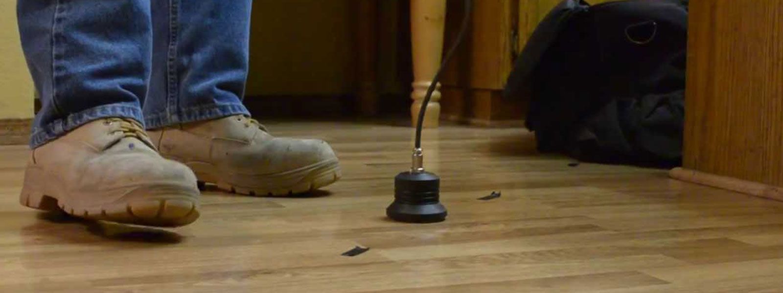 Acoustical system to detect water leaks