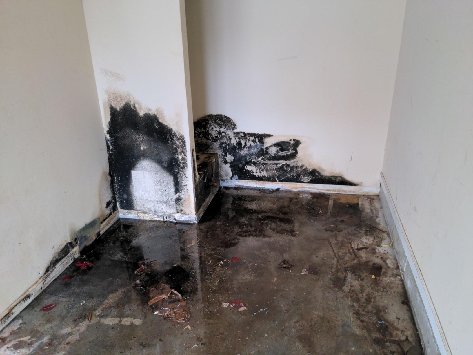 mold growing after water loss
