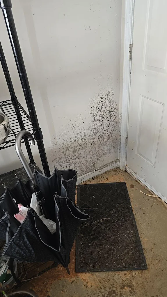 Wall in garage with mold
