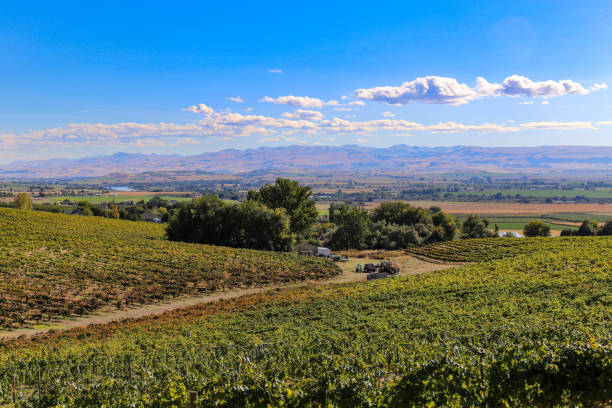 Snake River Valley American Viticultural Area in Canyon County, Idaho