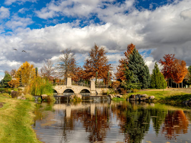 Fall colored trees and a stone bridge lead over a small waterfall