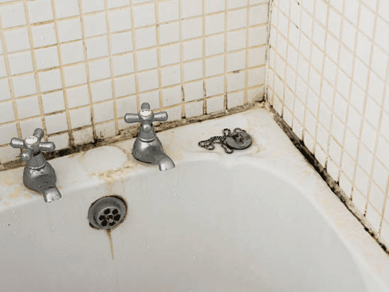 mold in bathroom