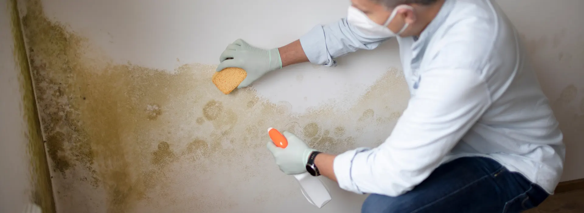 mold-remediation-2