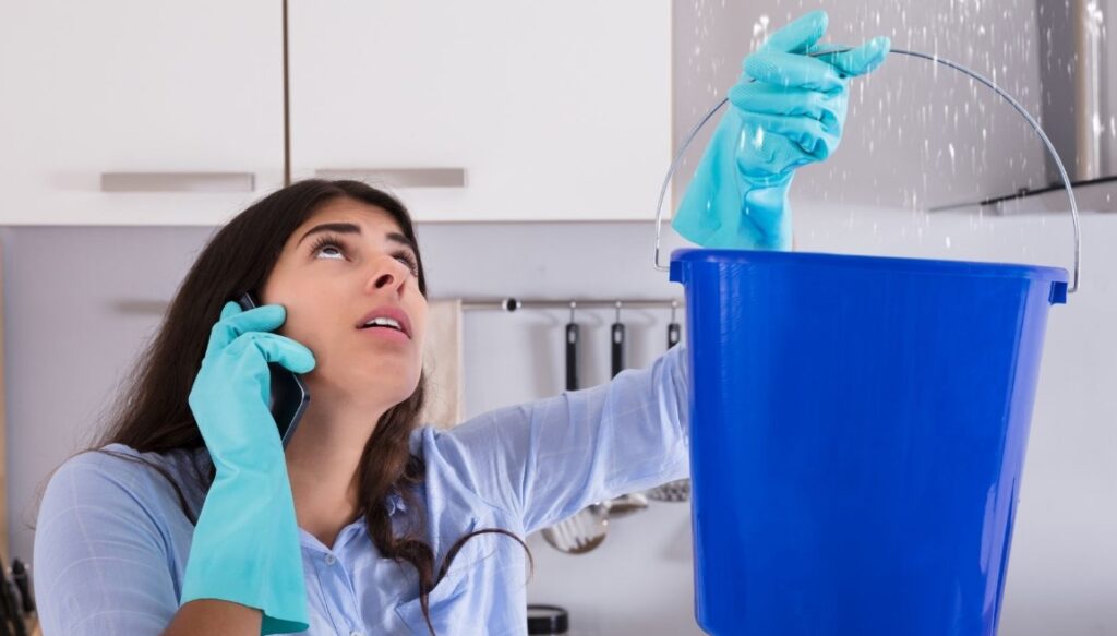 How to Choose a Water Mitigation Company