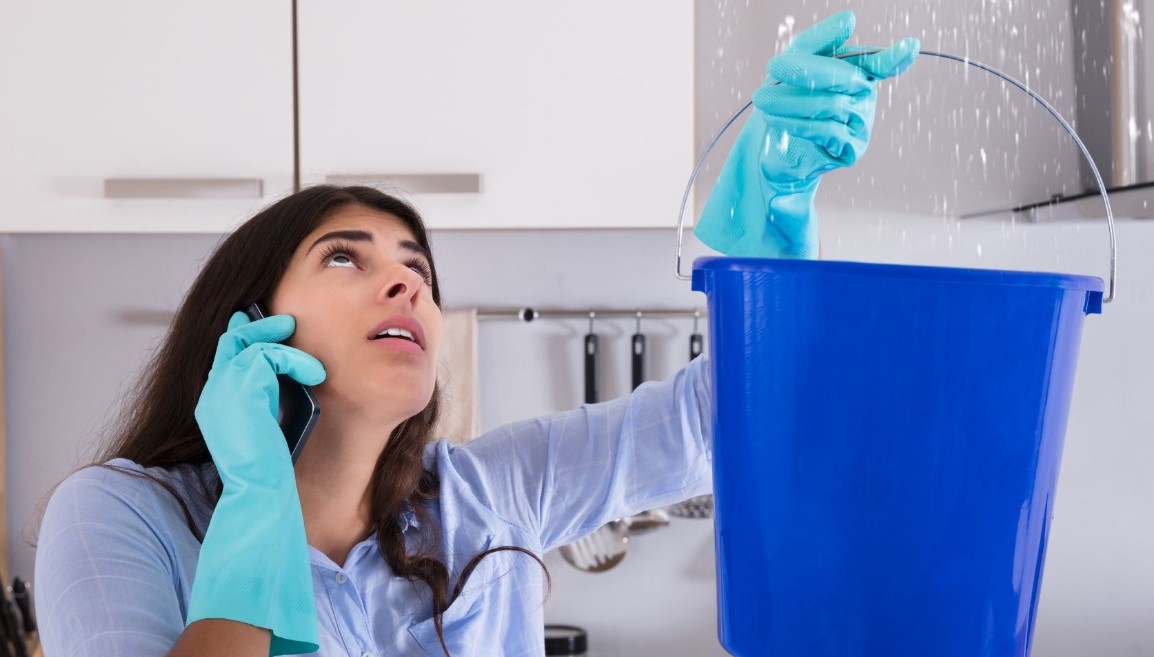 How to Choose a Water Mitigation Company