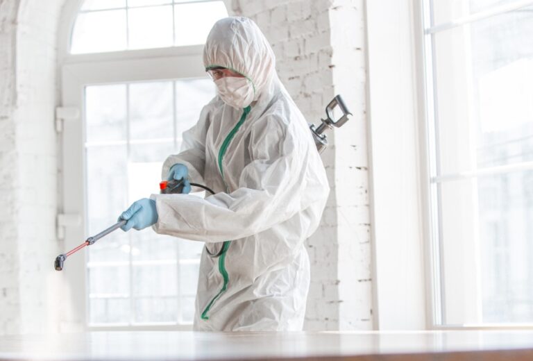How to Prevent Mold Growth After Removal in Westfield, ID