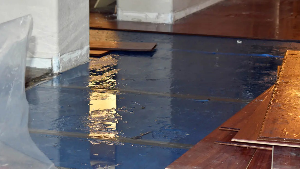 Water Mitigation and Mold Prevention in Westfield, ID