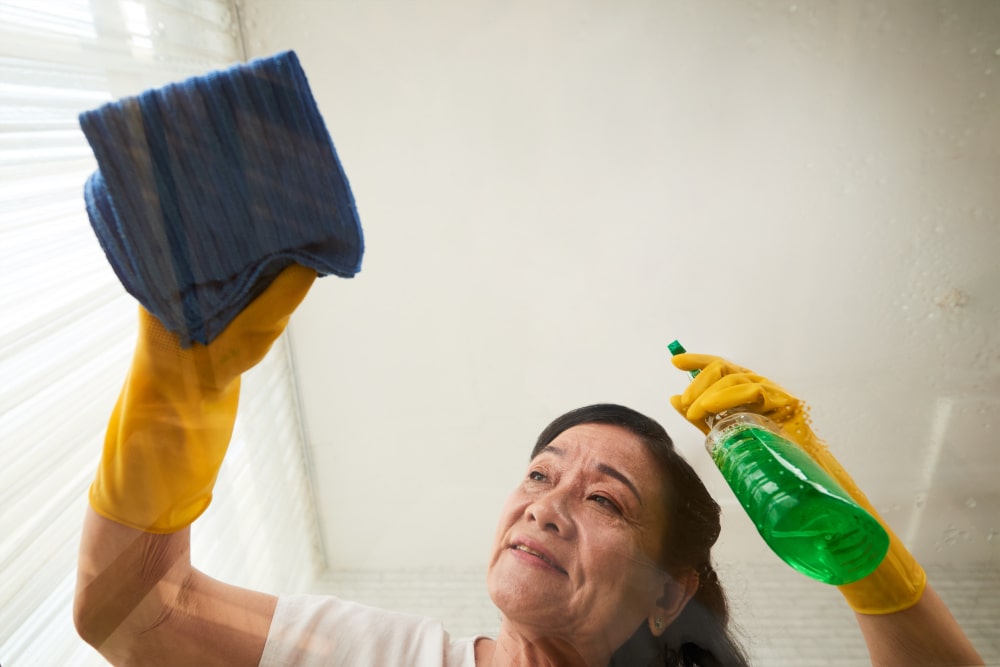 Professional Services