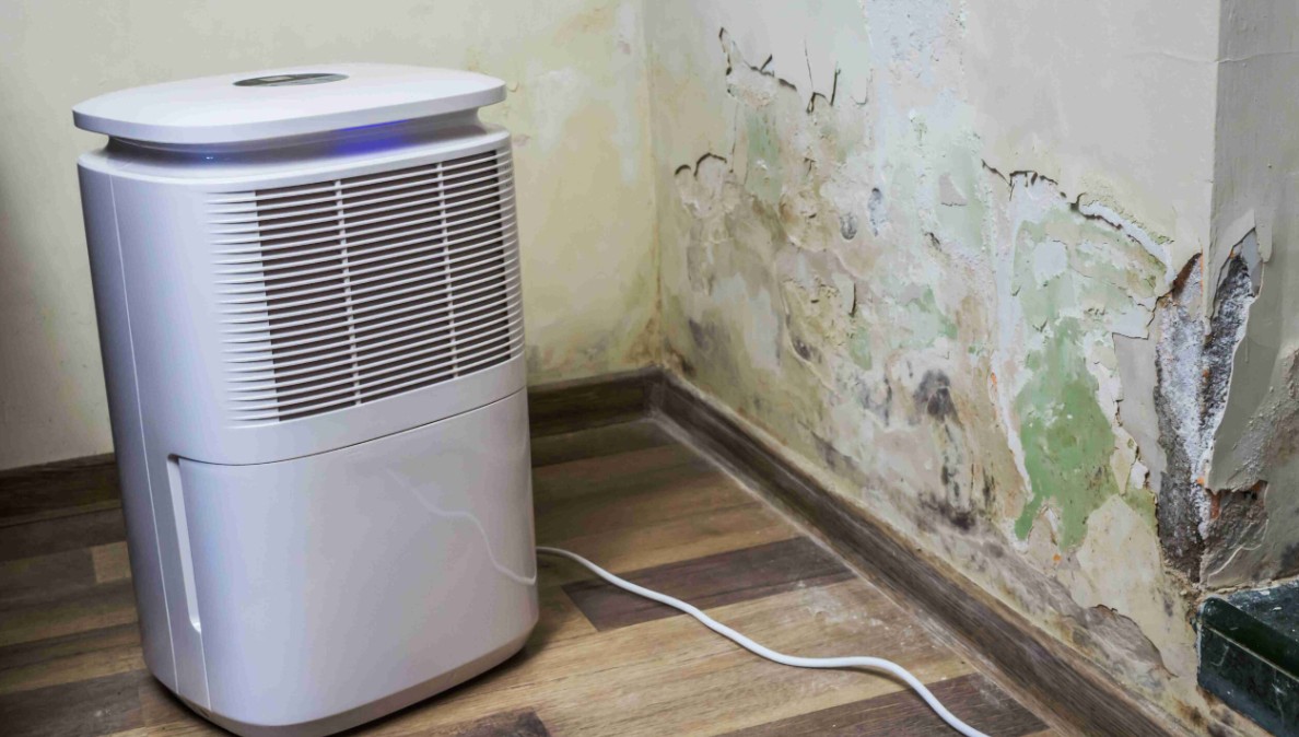 How Dehumidification Works in Water Mitigation