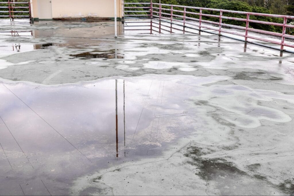 image of commercial water damage on a roof pooling