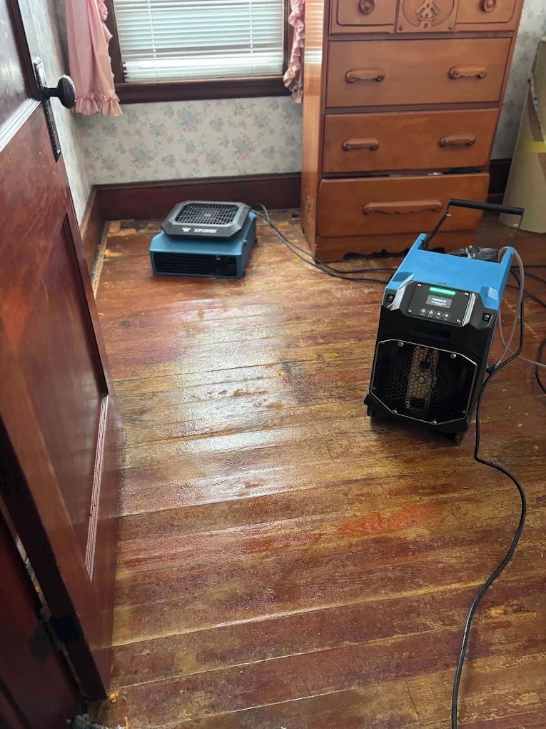 A wooden floor receving water damage restoration