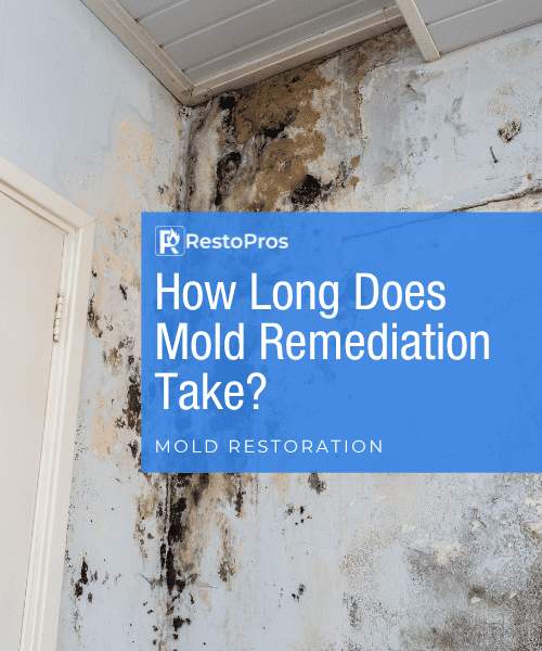 an image of mold on a wall with a title that reads" how long does mold remediation take?"