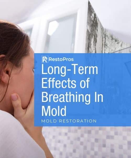 RestoPros: Long-Term Effects of Breathing in Mold - Mold Restoration