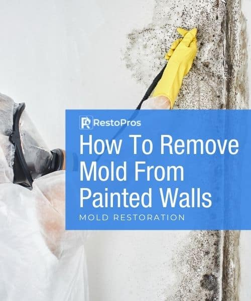 RestoPros: How To Remove Mold From Painted Walls - Mold Restoration