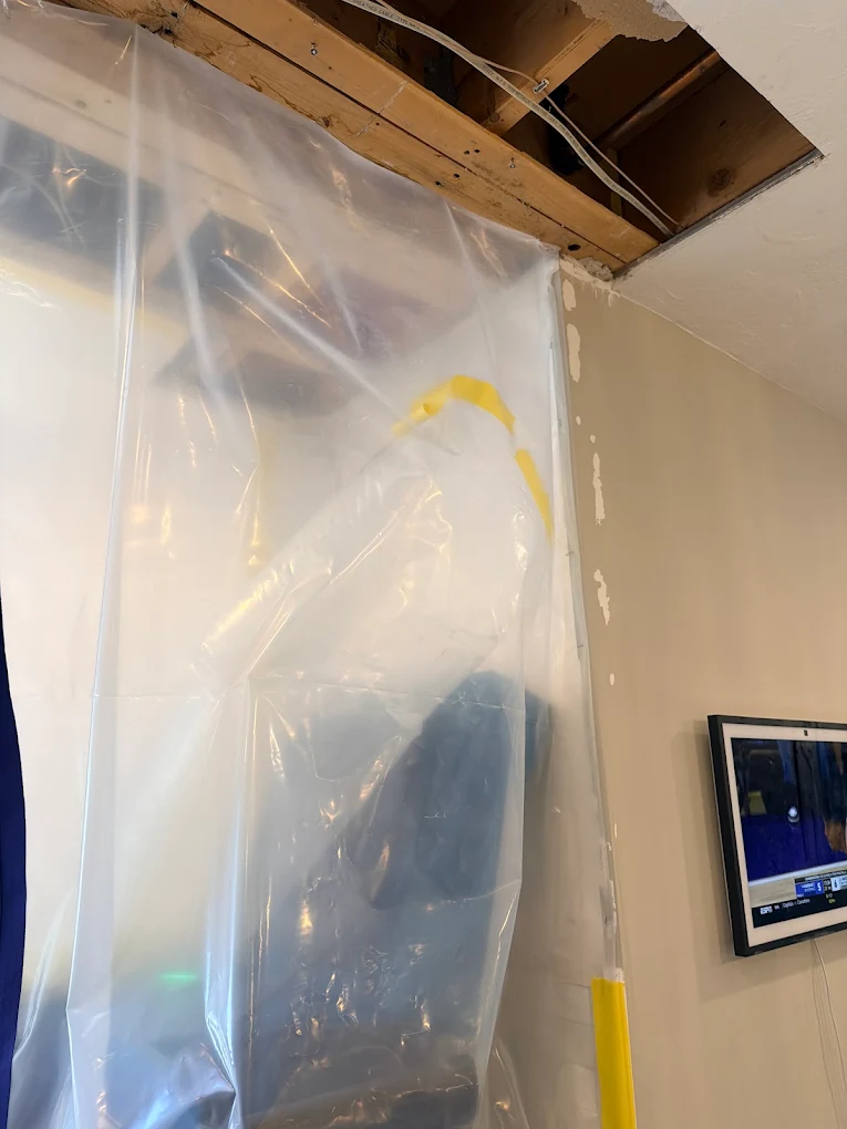 bellingham water damage