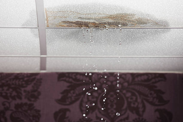 concord water damage