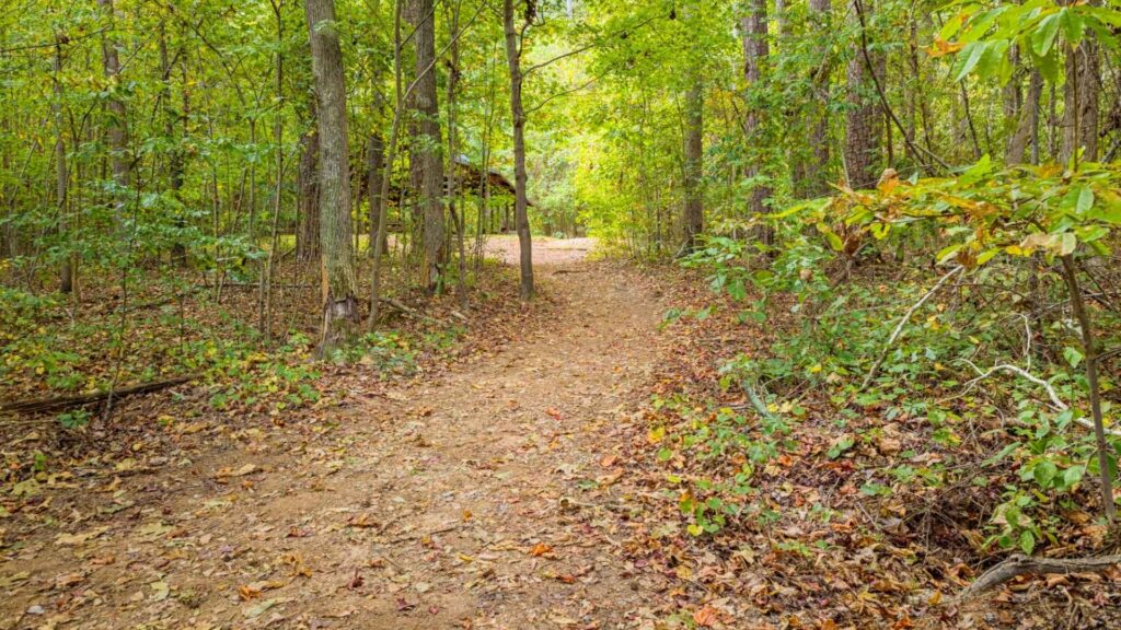 indian trail featured image