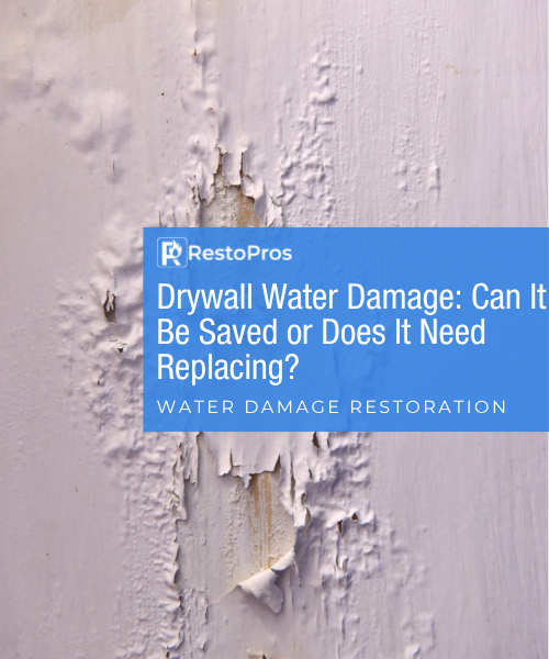 blog banner: Drywall Water Damage: Can It Be Saved or Does It Need Replacing?
