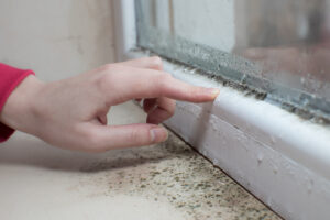 black-mold-fungus-growing-on-windowsill-dampness-problem-concept-condensation-on-the-window-2