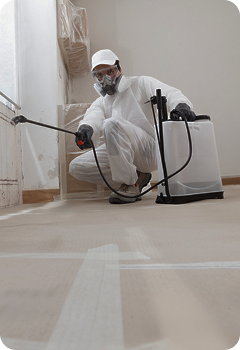Mold Remediation