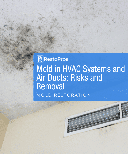 feature image of hvac mold on the ceiling