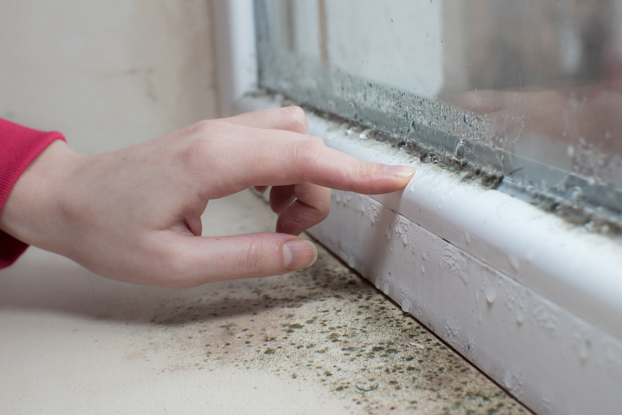 black-mold-fungus-growing-on-windowsill-dampness-problem-concept-condensation-on-the-window-2