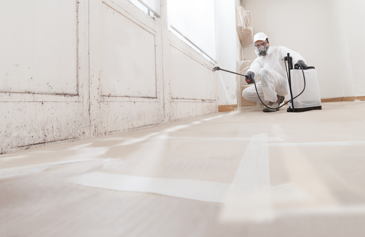 mold-remediation-service-a-professional-worker-spraying-products-to-remove-mold-before-house-painting-clad-in-a-protective-suit-and-respirator-mask-with-a-backpack-sprayer-at-a-home-renovation-site