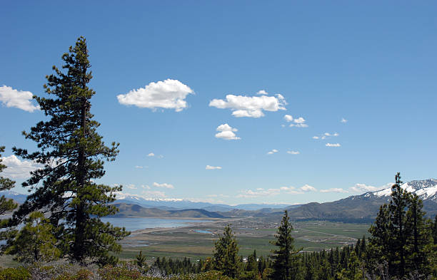 washoe valley featured image