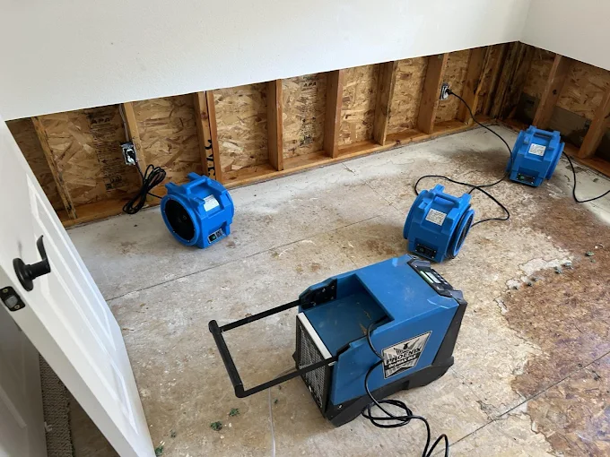 washoe valley water damage image