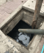 sewage cleanup