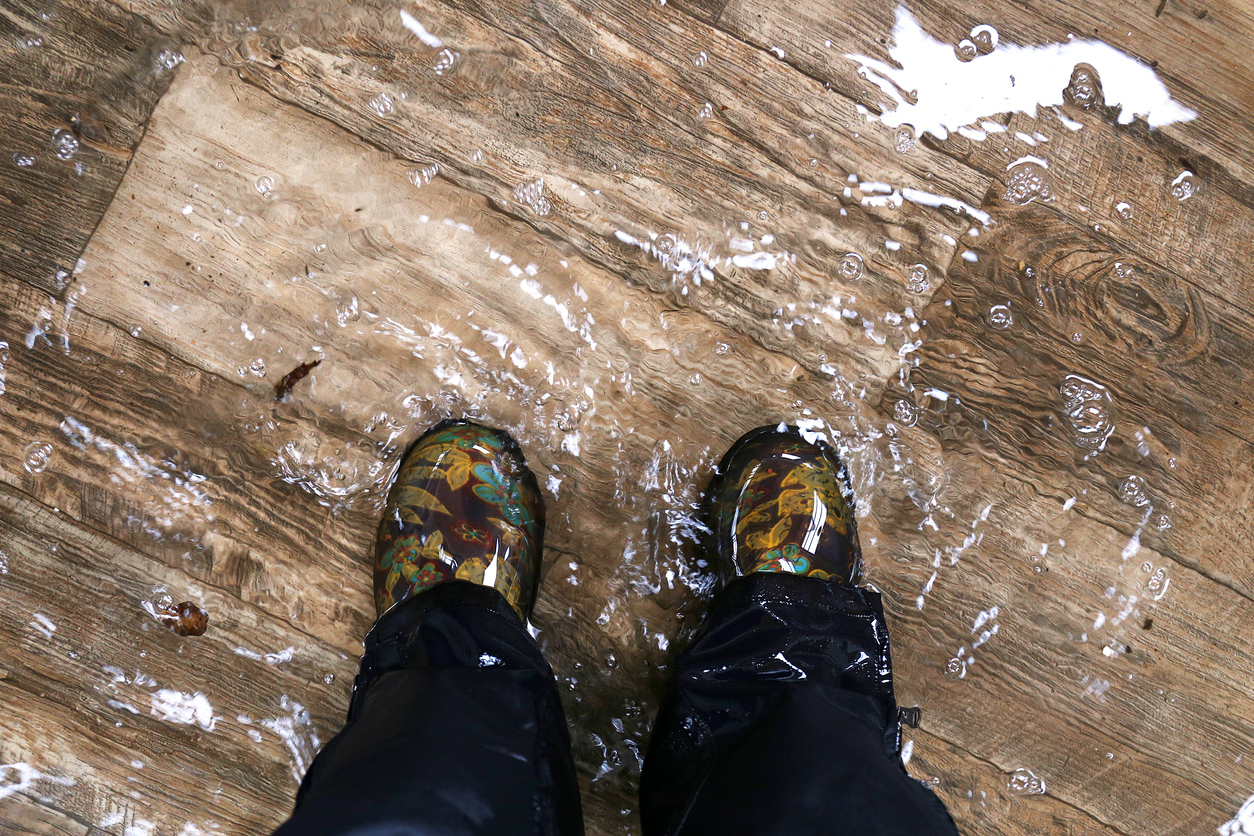 two feet on the ground in a flooded house