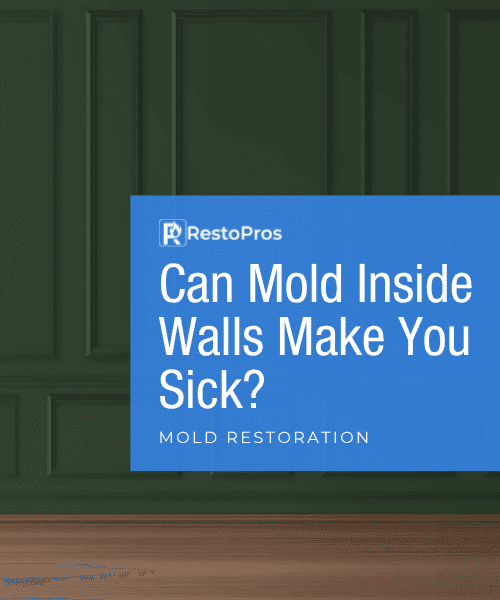 Can Mold Inside Walls Make You Sick