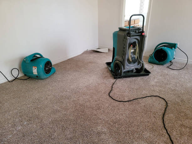 mason water damage