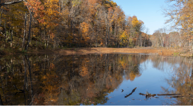 lake in pepper pike
