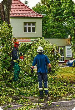 Storm Damage