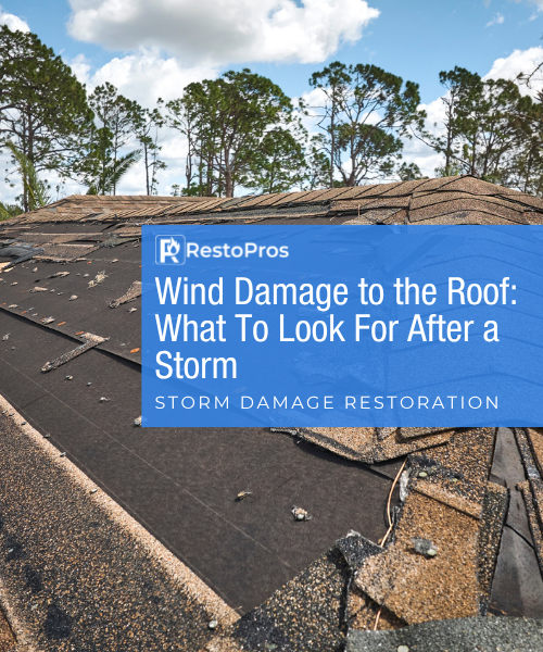 wind damage blog banner