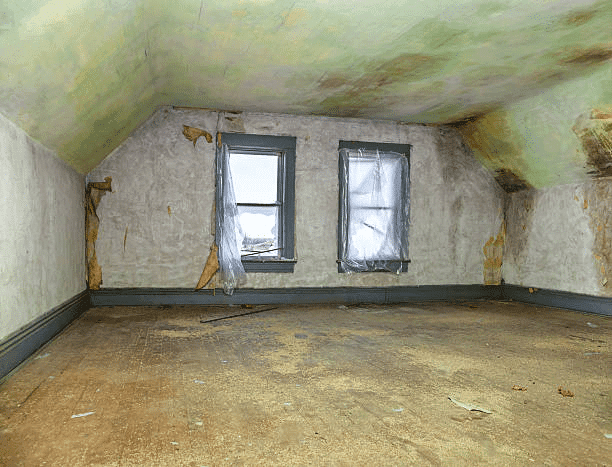 mold ridden attic stained green
