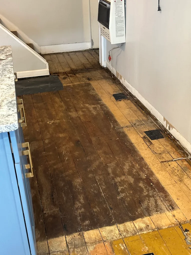 scranton water damage