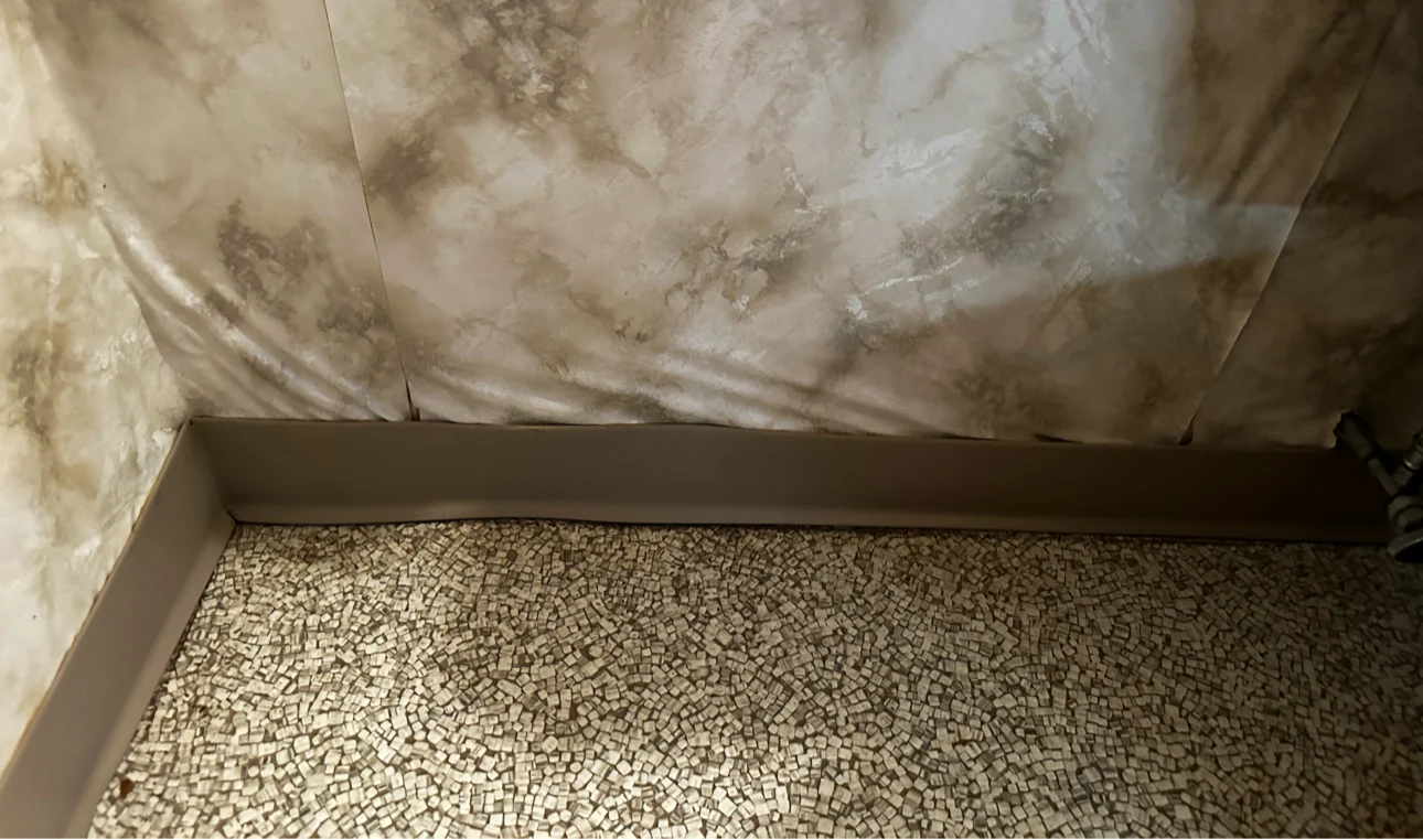 mold